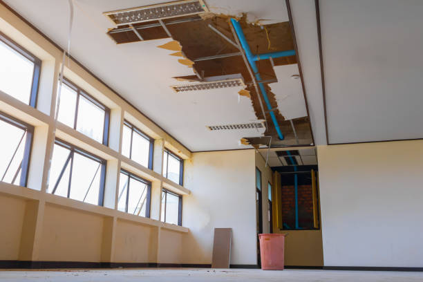 Best Flood restoration services  in South Fulton, TN