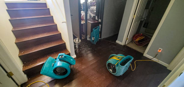 Best Water damage restoration specialists  in South Fulton, TN