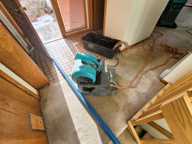 Best Ceiling water damage repair  in South Fulton, TN