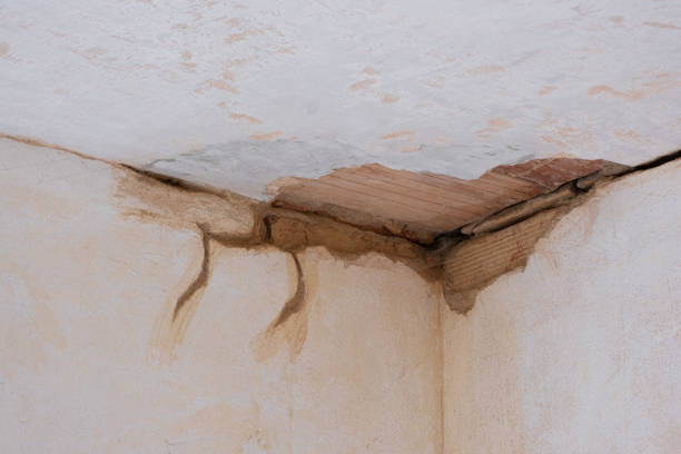 Best Emergency water damage restoration  in South Fulton, TN