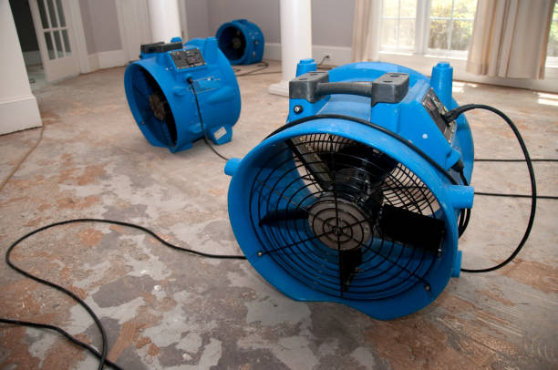 Best 24/7 water damage repair  in South Fulton, TN
