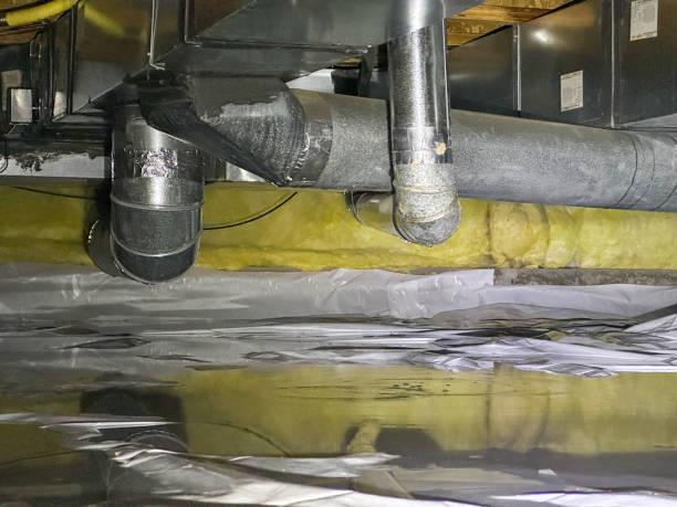 Best Professional water damage repair  in South Fulton, TN