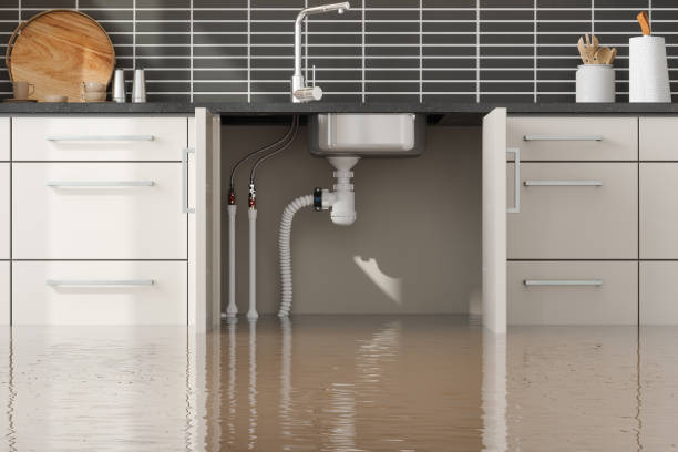 Best 24-hour water damage restoration  in South Fulton, TN