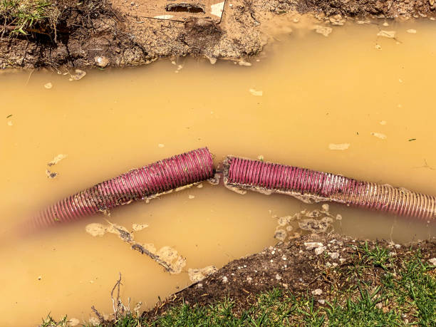 Best Local water damage restoration  in South Fulton, TN