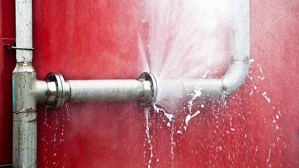  South Fulton, TN Water damage restoration Pros
